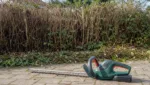 Heckenschere Rueckschnitt alter Hecken: Schrittweiser verjuengender Schnitt
